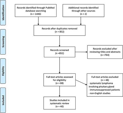 Primary Pituitary Lymphoma in Immunocompetent Patients: A Report on Two Case Studies and the Review of Literature